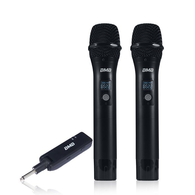 BMB WH-210 Dual Wireless Microphone System